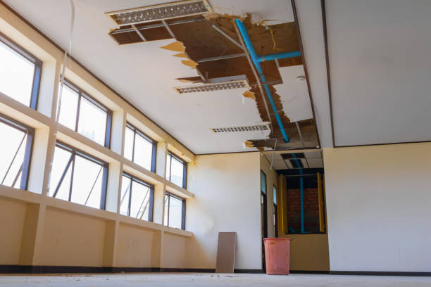 Best Basement water damage restoration  in Burlington, CO