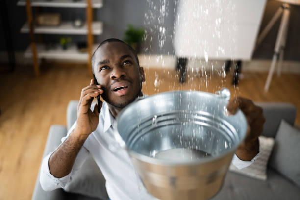 Best Water damage cleanup near me  in Burlington, CO
