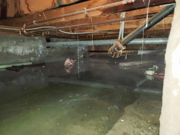 Best Emergency water damage restoration  in Burlington, CO