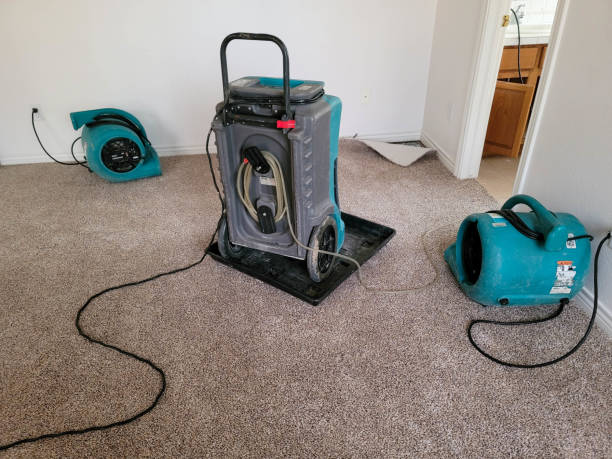 Best Water damage mitigation services  in Burlington, CO
