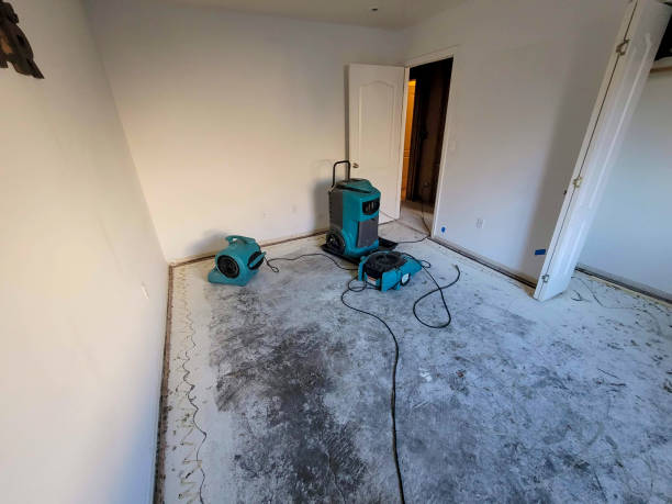 Best Water damage contractors near me  in Burlington, CO