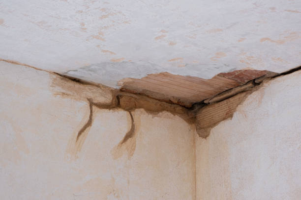 Best Emergency water damage restoration  in Burlington, CO