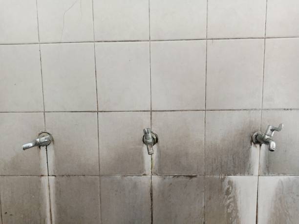Best Flooded house restoration  in Burlington, CO
