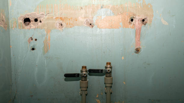 Best Mold removal after water damage  in Burlington, CO