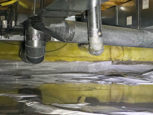 Best Water damage contractors near me  in Burlington, CO